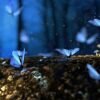 Magical scene of blue butterflies fluttering amidst glowing mushrooms in a dark forest.